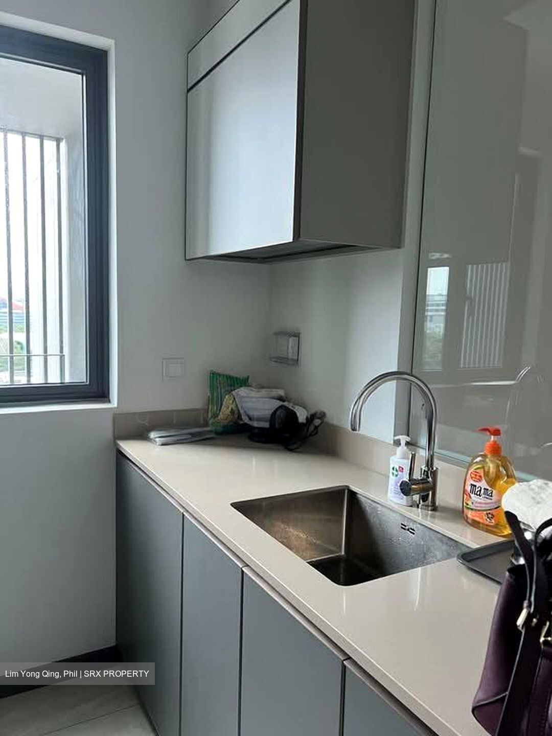 Normanton Park (D5), Apartment #571391161